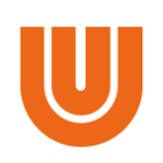 Lumibricks Logo