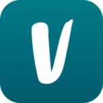 Vinted Logo